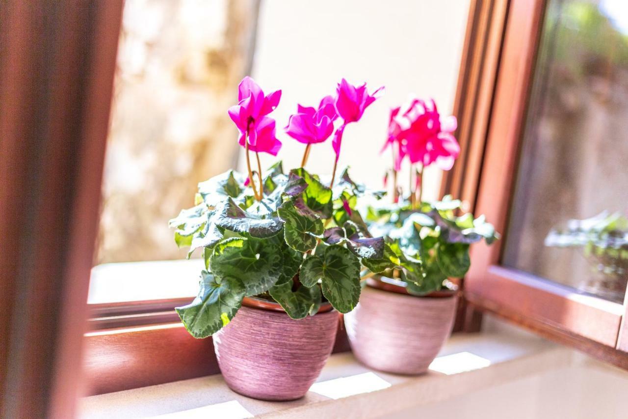 Domu Ala - Bynos Homes Baunei Ngoại thất bức ảnh